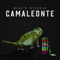 Camaleonte (feat. Wisezaz) - Bias lyrics