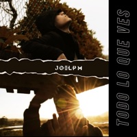 Todo Lo Que Ves - Single - Joelpm