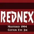 COTTON EYE JOE  [1994]