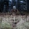 Can't Stay Here Long - Alec James Payton lyrics