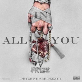 All In You (feat. SBR Peezyy) Pryze