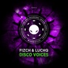 Disco Lights cover art