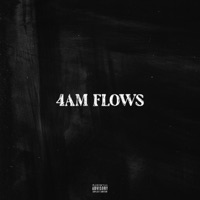 4AM Flows - Single - Sarmento
