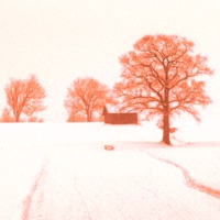 Cabin Fever - Single - Ariza & Elin Sandberg