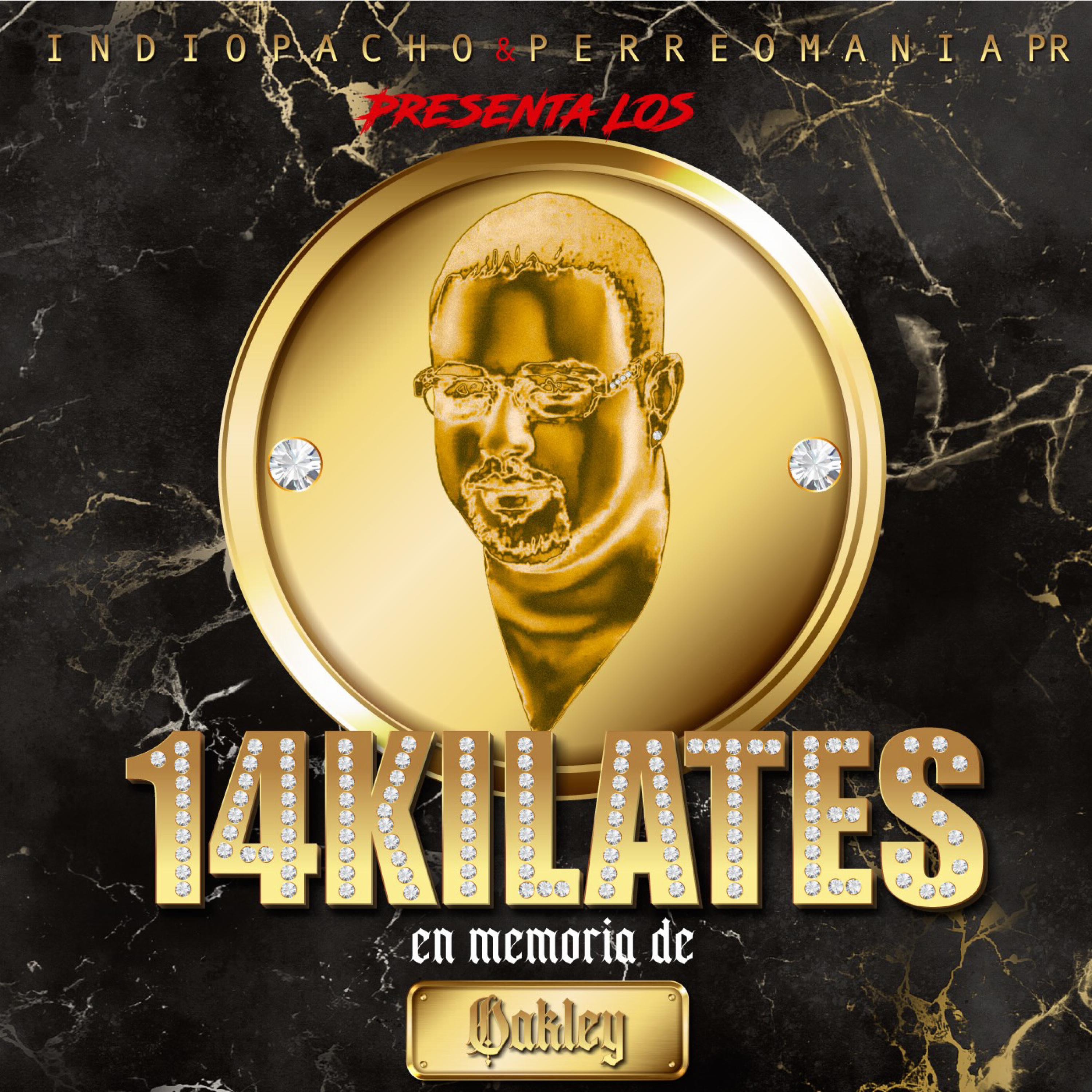 Usted Se Fue (feat. Frankie Boy ., El Zafiro ., YoLy Stars ., Él King Zeus) - Single