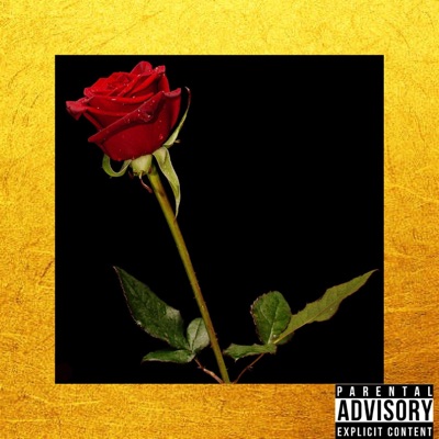 She Like (feat. Almighty Bhiz) - Single