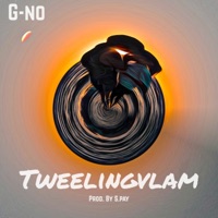 Tweelingvlam - Single - G-no