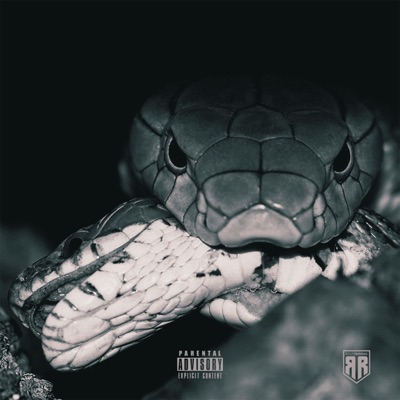 Double Cross - Single