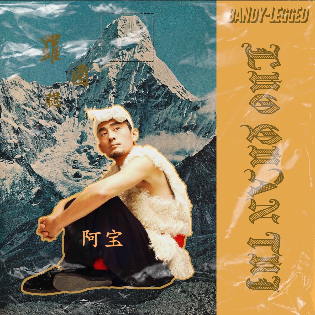阿寶 - 罗圈腿 (2012) [iTunes Plus AAC M4A]-新房子