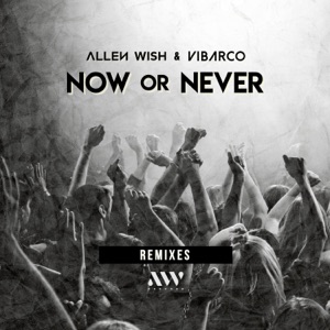 Now or Never - Single