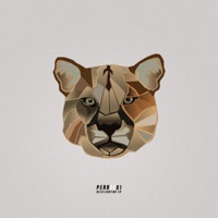 Accelerator - William Arist