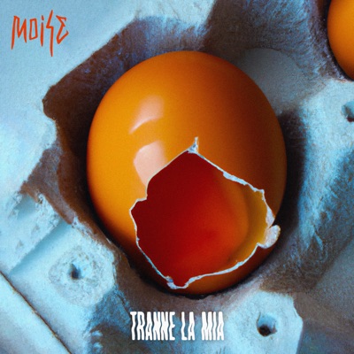 Tranne la mia - Moise