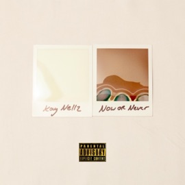 Gun Fun (feat. Jasmine Wilde & Grip) Kay Nellz