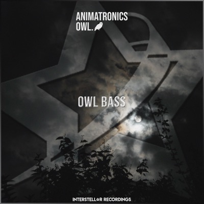 Owl Bass - Single