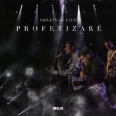 Profetizaré (Shekinah Live) [feat. Marcos Brunet] artwork