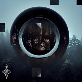 Variables Seeded Vision