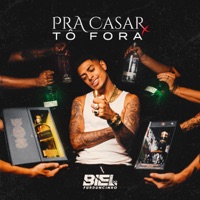 Pra Casar Tô Fora - Single - DJ Biel do Furduncinho