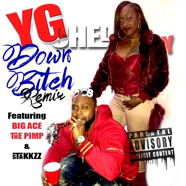 Down Bitch (feat. Big Ace the Pimp & Stakkzz) [Remix] - Single