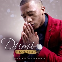 Ungayeki Ukuthandaza - Single - Dumi Mkokstad