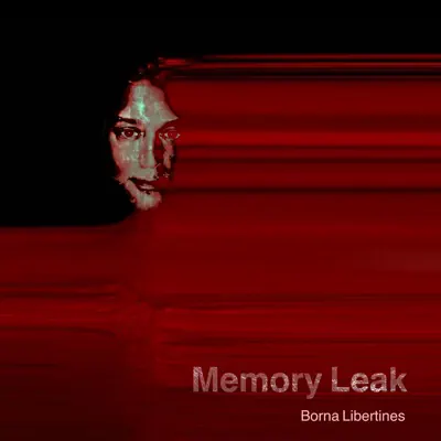 Memory Leak LP