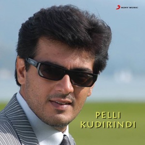 Pelli Kudirindi