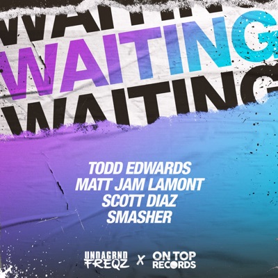 Waiting (feat. Todd Edwards) - Single