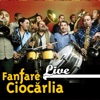 Fanfare Ciocărlia