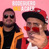 Bodeguero Vas a Caer - Single - Hablando Huevadas