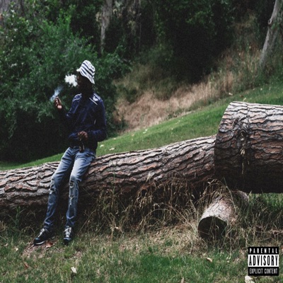 Stay Down - EP