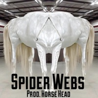 Spider Webs - Single - Vvices