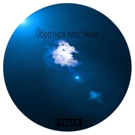 Обратная пластинка PROBRO