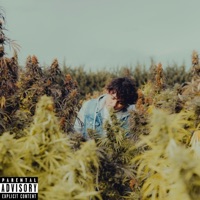 Incognito (feat. Dom Bonez) - Single - Isaac Clark