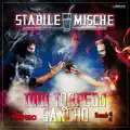 Stabile Mische