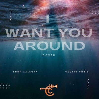 I Want You Around - Single