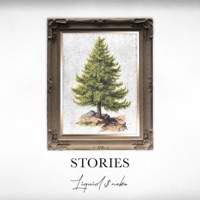 S T O R I E S - Ep - Liquid $moke