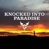 Knocked into Paradise - Single - Vespers Nine