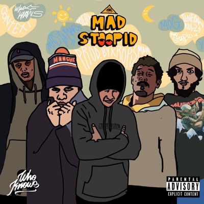 Mad Stoopid - Single