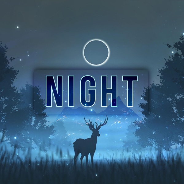 Night