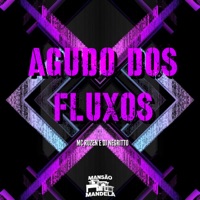 Agudo dos Fluxos - Single - Mc Ruzen & DJ Negritto