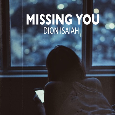 Missing You - Single
