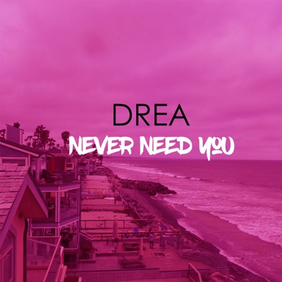 Never Need You - Single