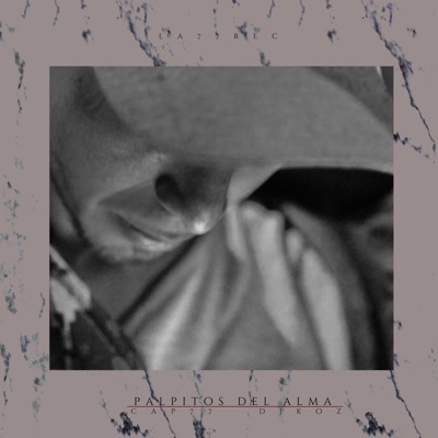 Palpitos del Alma - Single