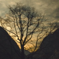 Dead to the World - Single - Nickisgonenow