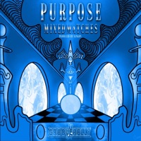 Purpose - Single - Mixed Matches & Grooverelly