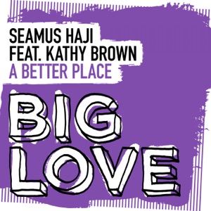 A Better Place (feat. Kathy Brown) - Single