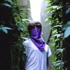 聆聽 Cardinal、觀看音樂影片、閱讀小傳、查看巡演日期等！