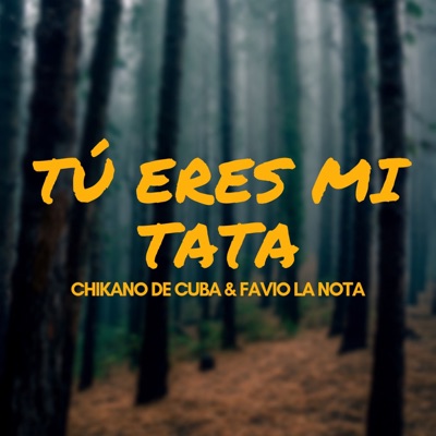 Tú Eres Mi Tata - Single
