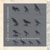 David Grumel - Ballad of Mockingbird