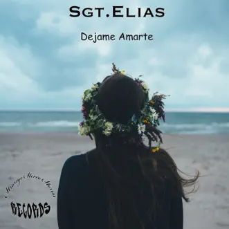 Dejame Amarte - Single by Sgt.Elias album reviews, ratings, credits