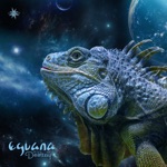 Eguana - Proton Beam